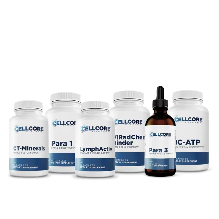 Phase 3: Whole Body Immune Support