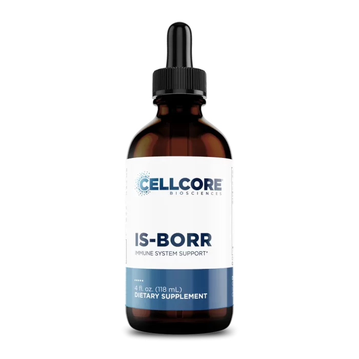 IS-BORR